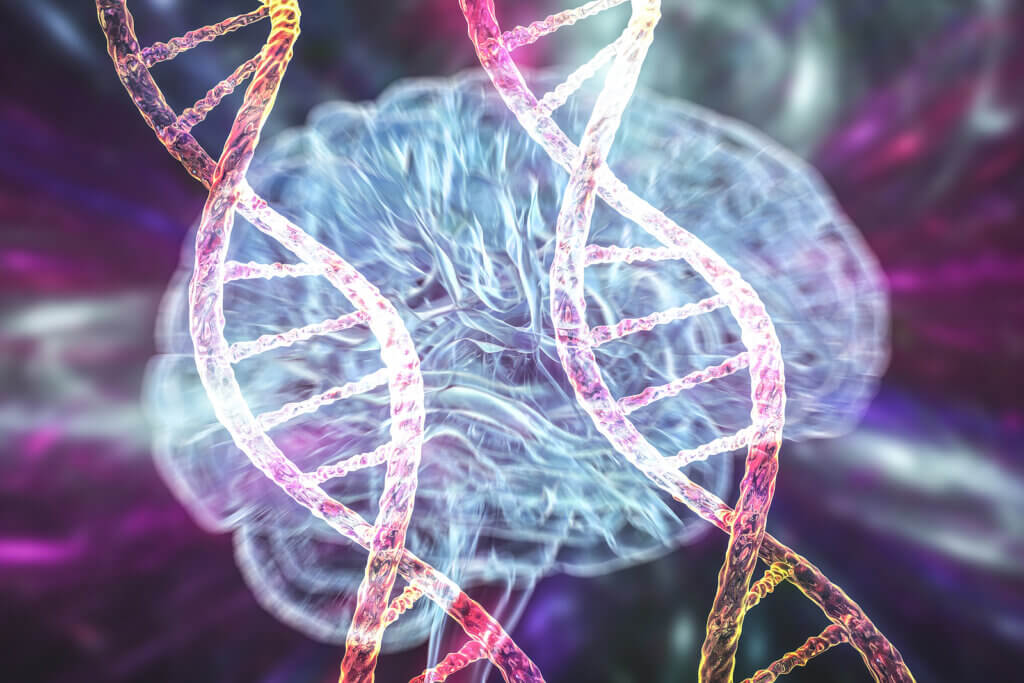 causas-sindrome-tourette-cerebro-1024x683
