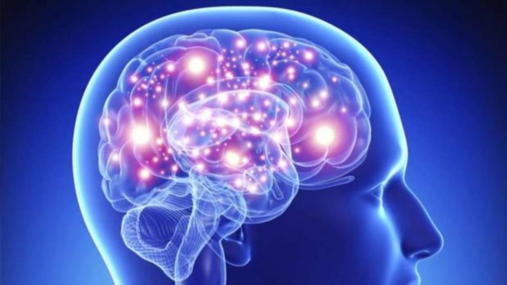 cerebro