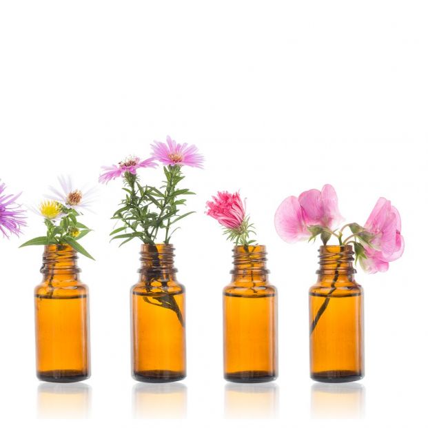 que-son-las-flores-de-bach_1_621x621