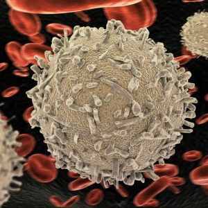 bigstock-white-blood-cells-wbcs-also-352026347_1_621x621