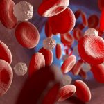 Colesterol en sangre