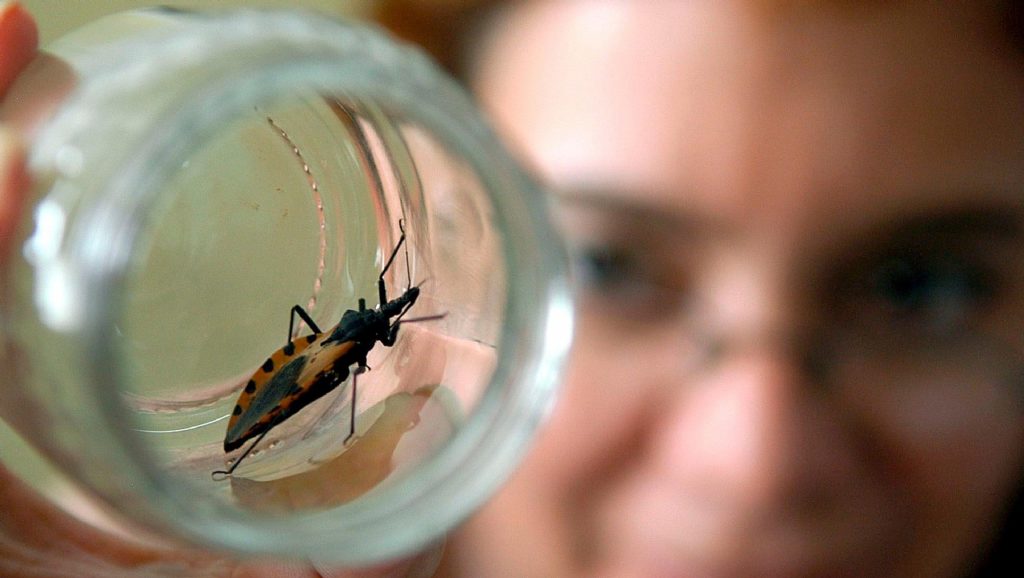 chagas-1-600-1024x578