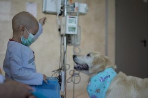 image_gallery-768x512