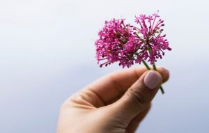 Webp.net-resizeimage-2-2-768x490