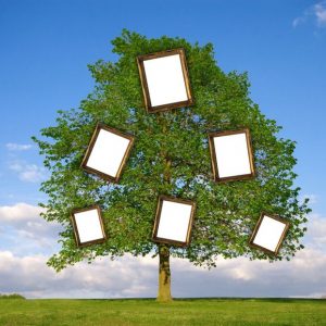bigstock-family-tree-5019865_1_621x621