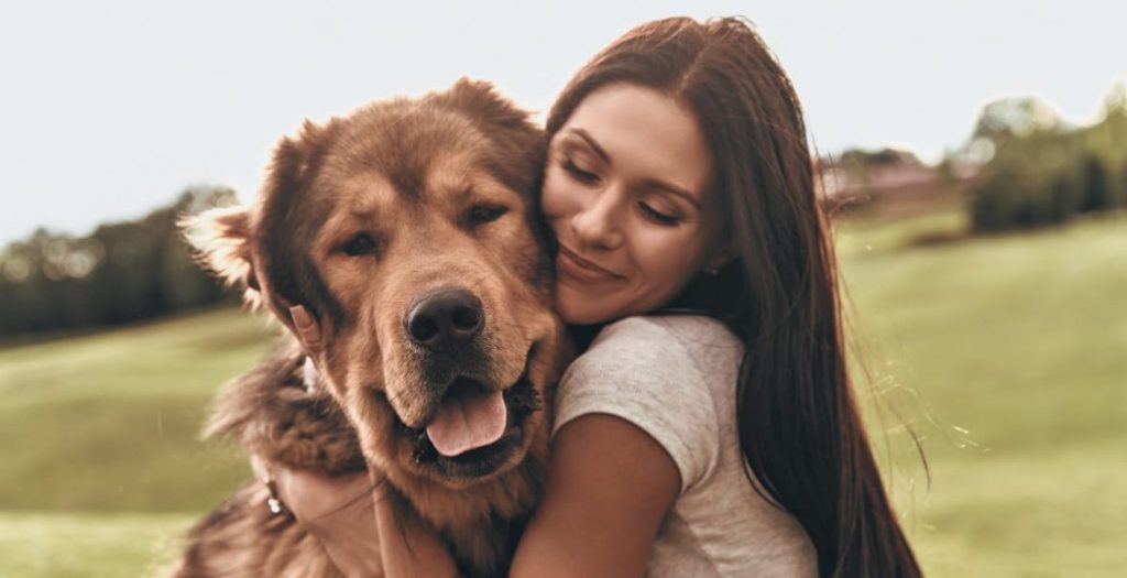 bigstock-perros-mascotas-pulgas-animales-1170x600