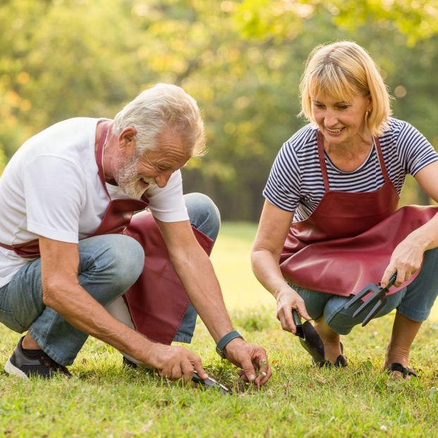 herramientas-basicas-de-jardin_1_621x621