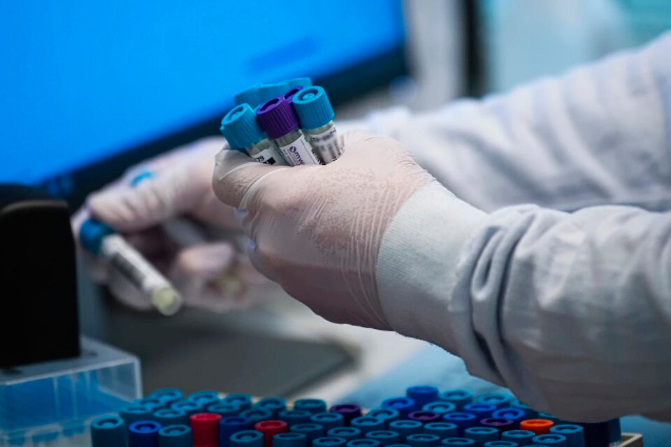 664696-47318-candida-2520auris