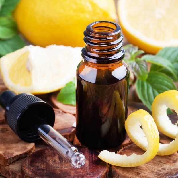 bigstock-lemon-citrus-fruit-essential-o-388536715_1_621x621