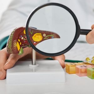 bigstock-human-liver-disease-diagnosis-448581805_1_621x621