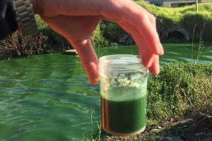 725428-21-a-20facultad-20de-20ciencias-20naturales-20y-20museo-20de-20la-20unlp