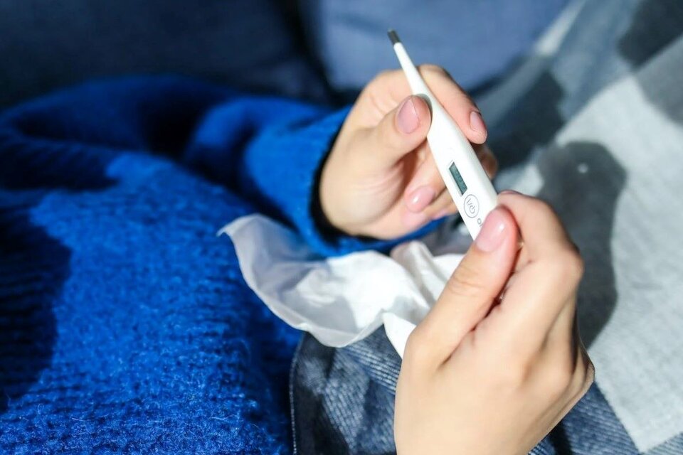 743813-captura-20de-20pantalla-202023-07-04-20205730