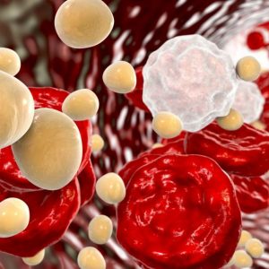 bigstock-cholesterol-molecules-in-blood-309897094_1_621x621
