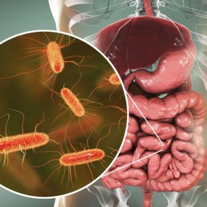 bigstock-intestinal-microbiome-d-illu-226093081_1_621x621