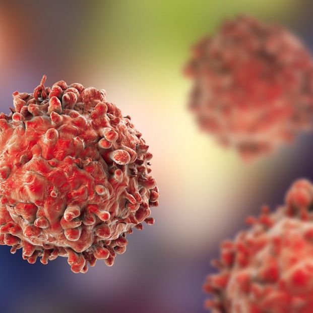 premio-de-medicina-personalizada-de-precision-para-una-nueva-tecnica-relacionada-con-la-leucemia_1_621x621