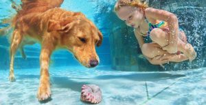 Webp.net-resizeimage-18-1170x600