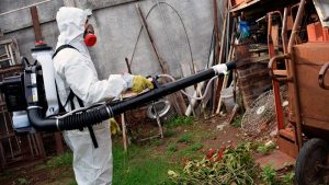 img_83939_DENGUEDESCACHARRAR