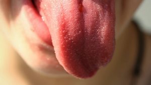 1551179242_417621_1551179309_noticia_normal