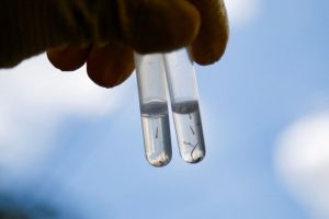 815510-3-2-20-283-29