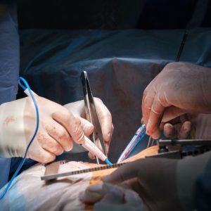 bigstock-closeup-of-professional-doctor-461961201_1_621x621