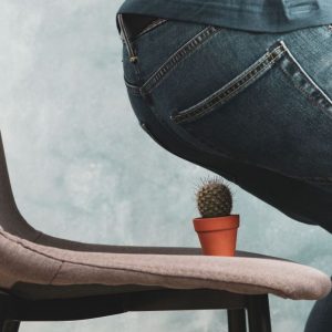 bigstock-man-sit-on-a-chair-with-cactus-359125060_1_621x621