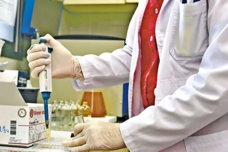 831086-investigacion-20dengue