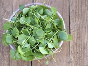 beneficios_del_berro_41923_orig