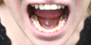 50rXQy6lV_1256x620__1