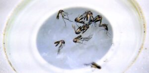 S0qVOhXH3_1256x620__1