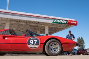 WhatsApp Image 2024-11-26 at 10.31.50