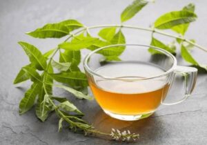 te-de-cedron-kmdC-U2101530422607uN-1200x840@Las Provincias