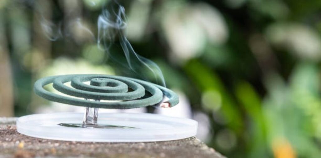 GOCtMngp2_1256x620__1