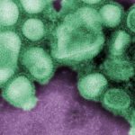 Avanza la súper gripe H3N2