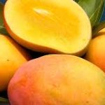 Todas las bondades de el Mango