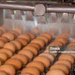 ¿Por qué no lavar los huevos frescos?