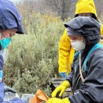 La misión del Malbrán que investiga el hantavirus del crucero en Tierra del Fuego