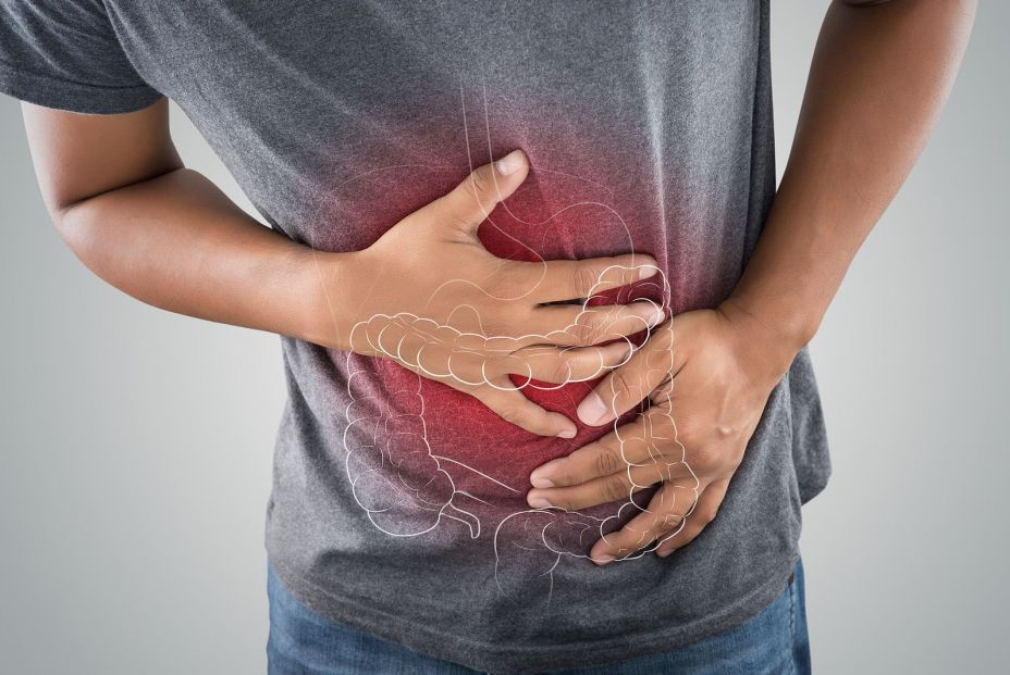 bigstock-the-photo-of-large-intestine-i-238624432_6_928x621