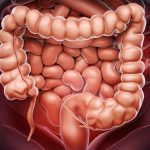 Limpiar los intestinos de forma natural