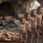 Los bebés neandertales al nacer