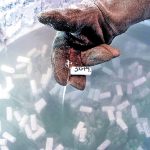 Qué pasa con los embriones congelados que no se usan