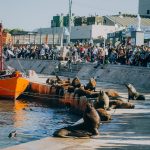 Agenda invernal en Mar del Plata