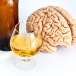 Situación del cerebro cuando dejamos de beber alcohol