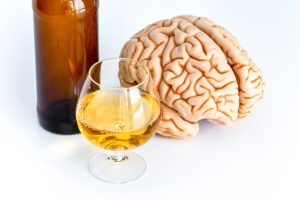Un estudio en ratones demuestra que los adictos al alcohol podrían tener una disfunción en una parte del cerebro