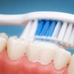 Las encías pueden revelar cómo envejecen los tejidos