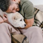 Suba de leptospirosis del 42% en humanos y del 76% en perros